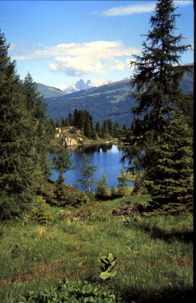 Laghi.......del TRENTINO