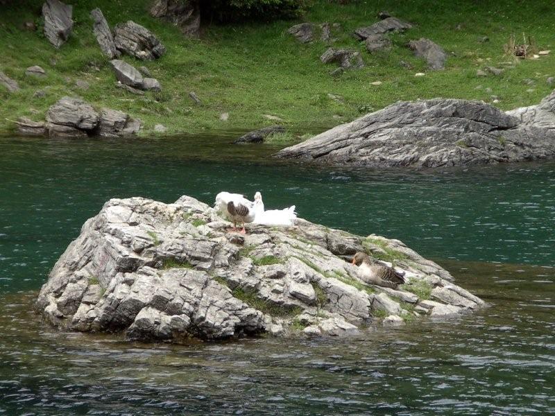 Tutti all''Obernberger See (Osterreich)