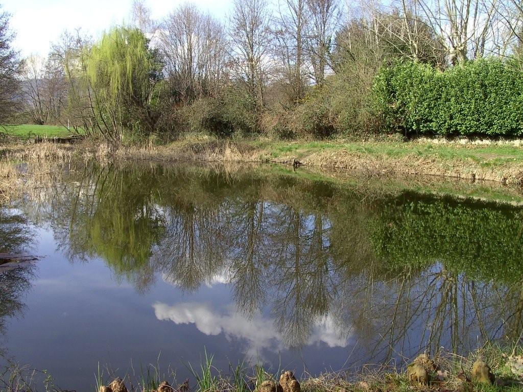 Laghi....della LOMBARDIA