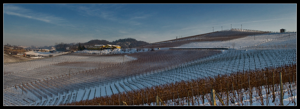 Le colline del vino