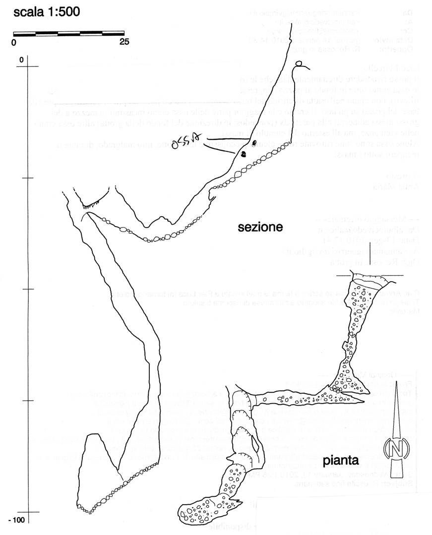 reperti ossei in grotta