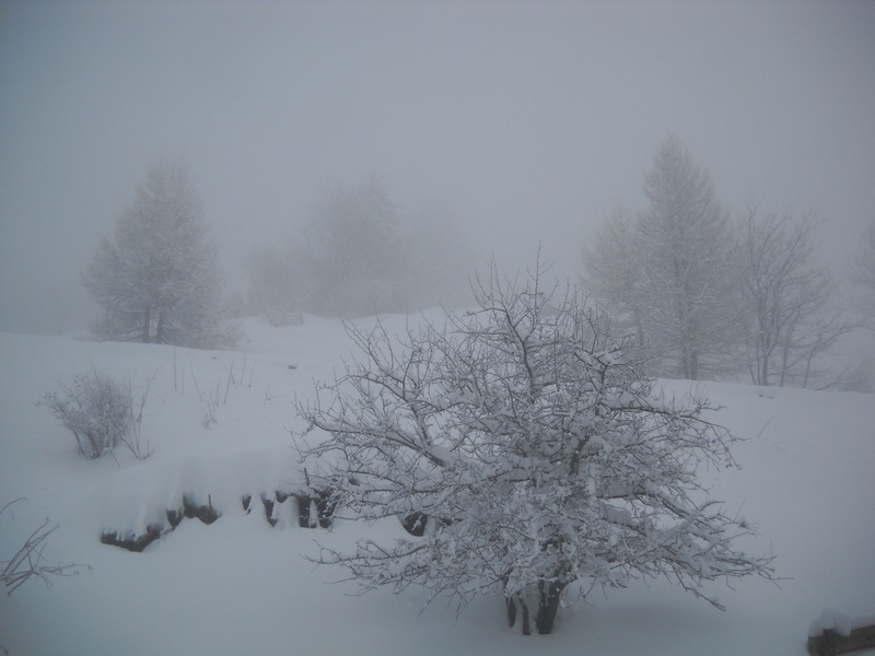 la neve  vista da un''eoliana in piemonte