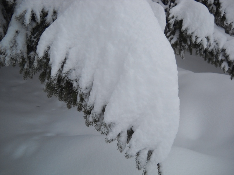 la neve  vista da un''eoliana in piemonte