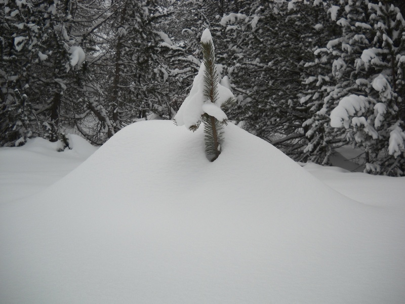 la neve  vista da un''eoliana in piemonte