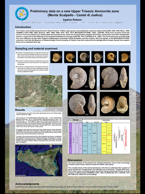 Una nuova zona ad ammoniti del Trias sup. tetideo