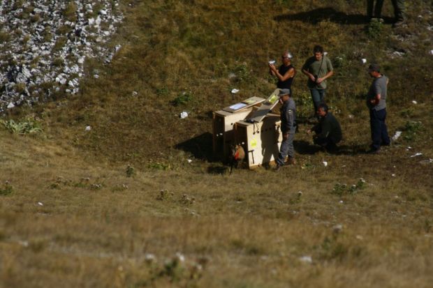 REINTRODUZIONE CAMOSCIO D''ABRUZZO SIBILLINI! 2008