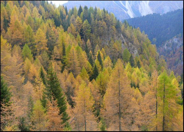 I primi colori d''autunno