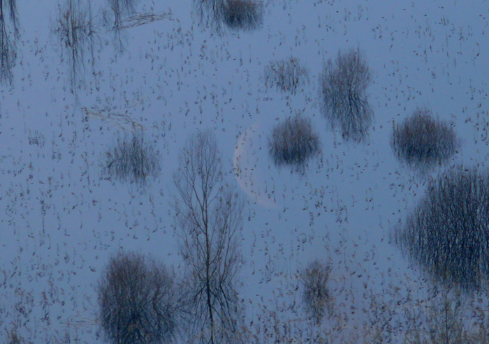 La Luna nel lago