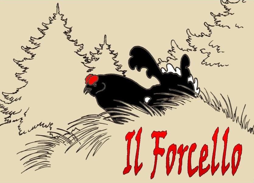 Il Forcello