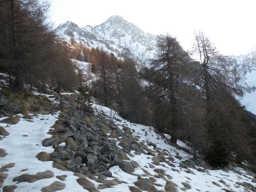 panorama da Malga Stain