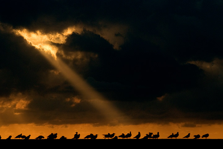 Silhouette al tramonto