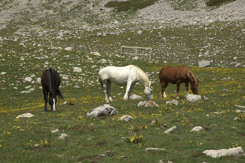 Escursione al Lago della Duchessa