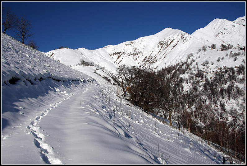 Ciaspolata a Piaghedo [Alto Lario Occidentale]