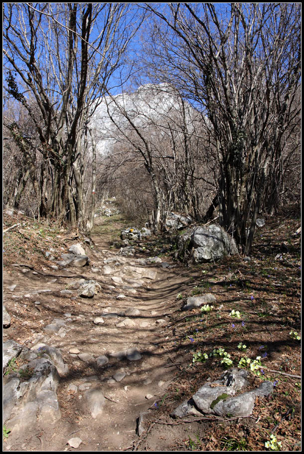 Corno Occidentale di Canzo