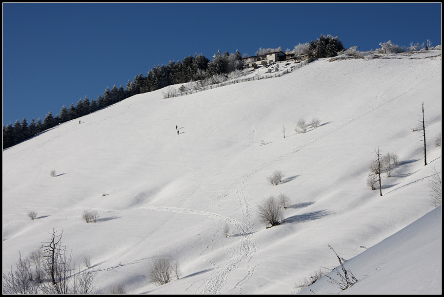 Monte Bolettone