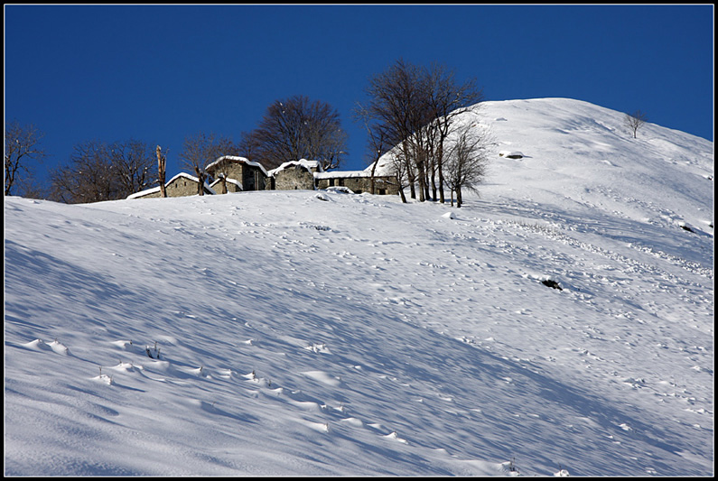 Ciaspolata a Piaghedo [Alto Lario Occidentale]