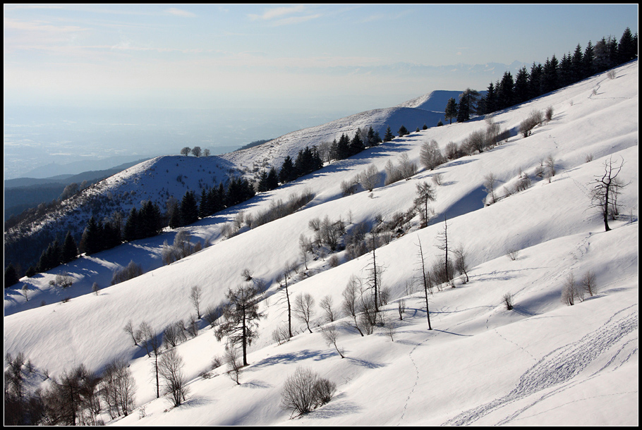 Monte Bolettone