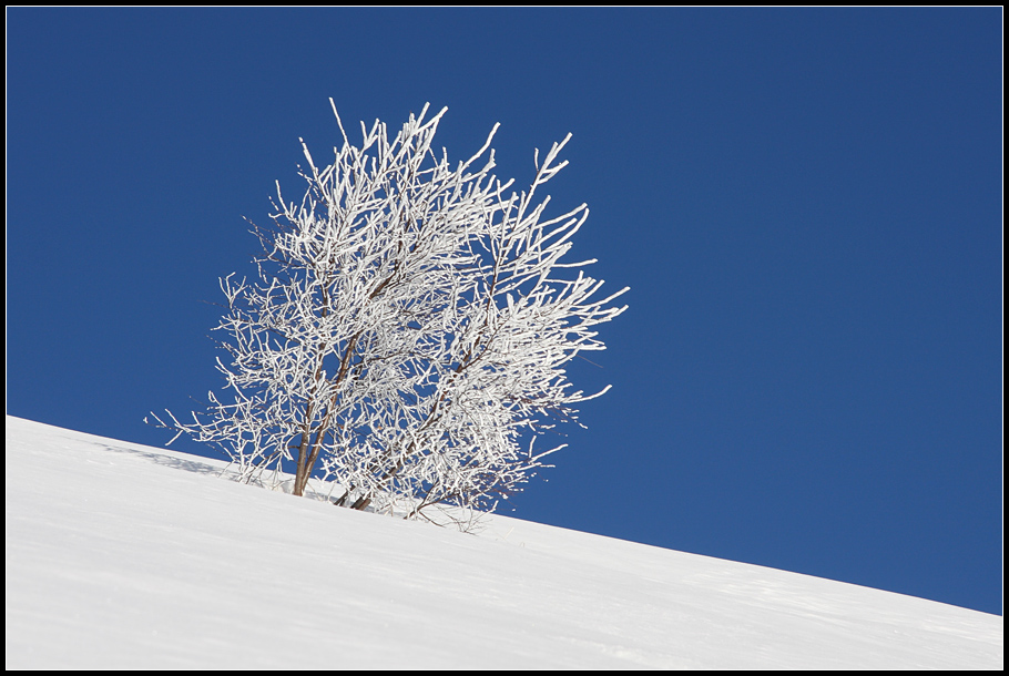 Monte Bolettone