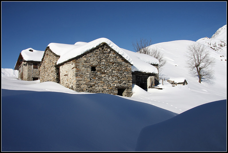 Ciaspolata a Piaghedo [Alto Lario Occidentale]