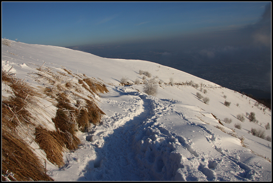 Monte Bolettone