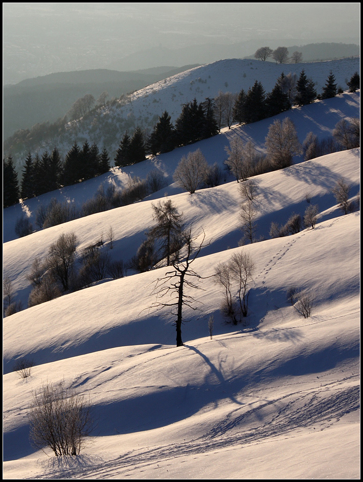 Monte Bolettone