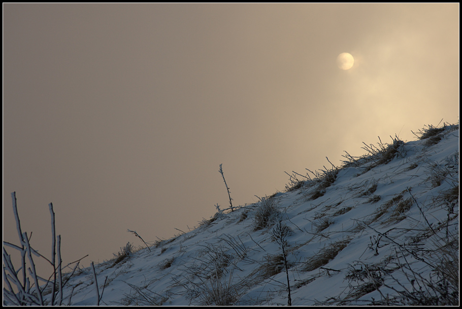 Monte Bolettone