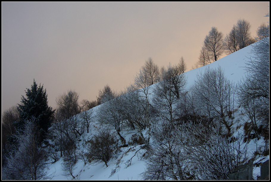 Monte Bolettone