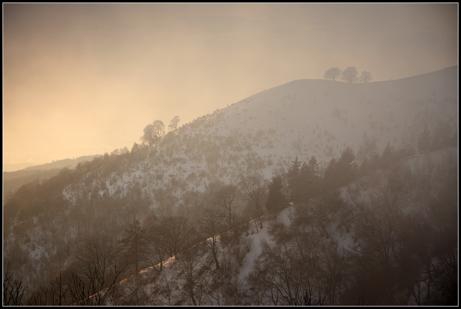 Monte Bolettone