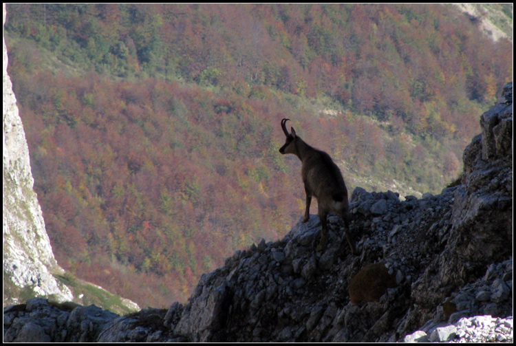 Monte Aquila [Gran Sasso]