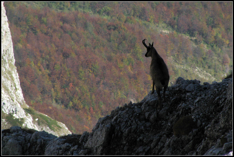 Monte Aquila [Gran Sasso]