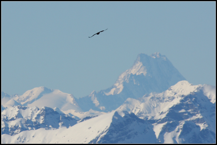 L'' Oberland bernese dall'' alto.