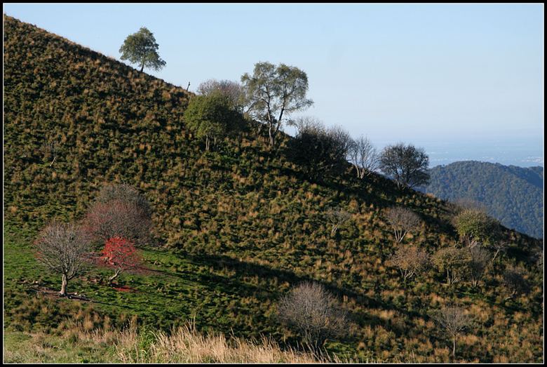 I primi colori d''autunno