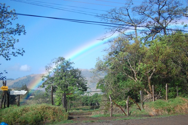 WCI e NATMED in Costa Rica