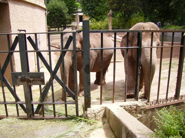 giornata di relax al Bioparco di Roma