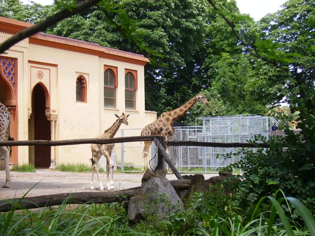 giornata di relax al Bioparco di Roma