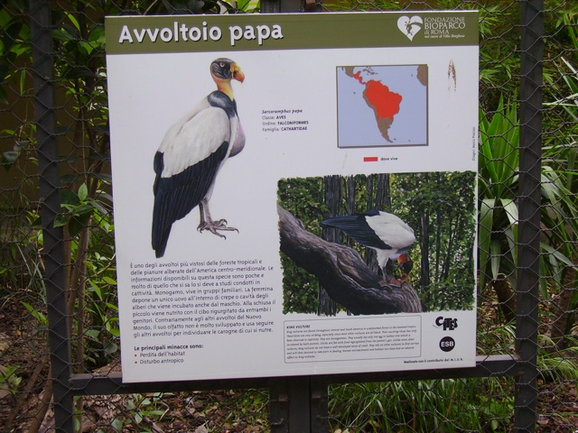 giornata di relax al Bioparco di Roma