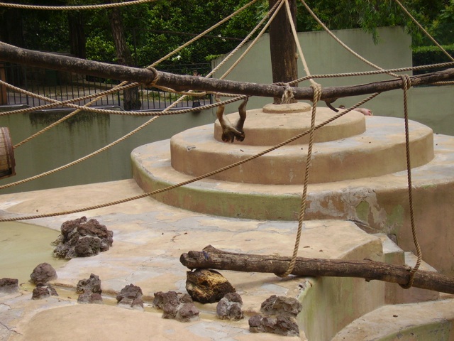 giornata di relax al Bioparco di Roma