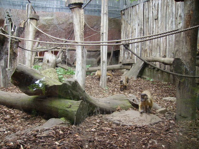 giornata di relax al Bioparco di Roma