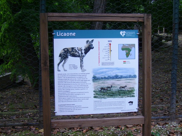 giornata di relax al Bioparco di Roma