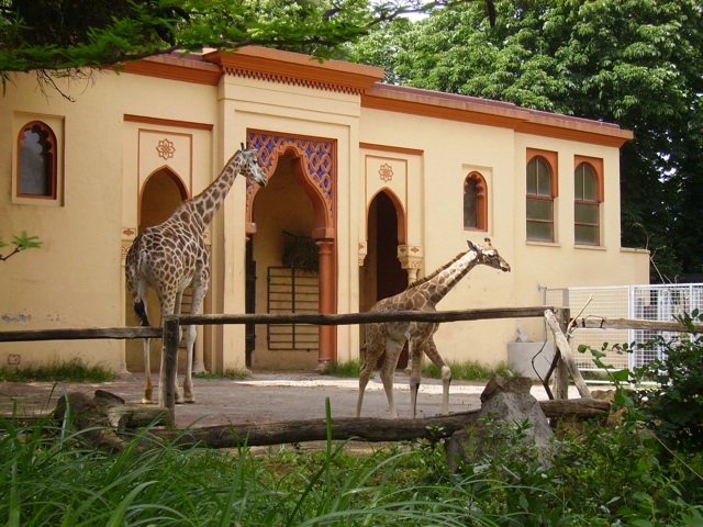 giornata di relax al Bioparco di Roma