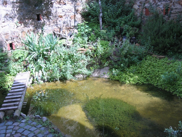 Il Laghetto del Centro di Entomologia - Piombino (LI)