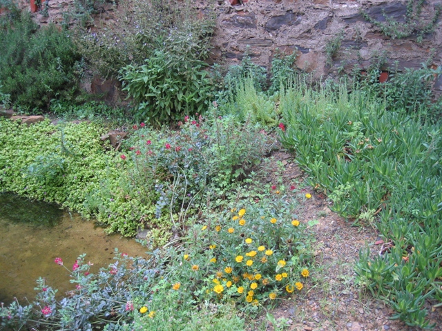 Il Laghetto del Centro di Entomologia - Piombino (LI)