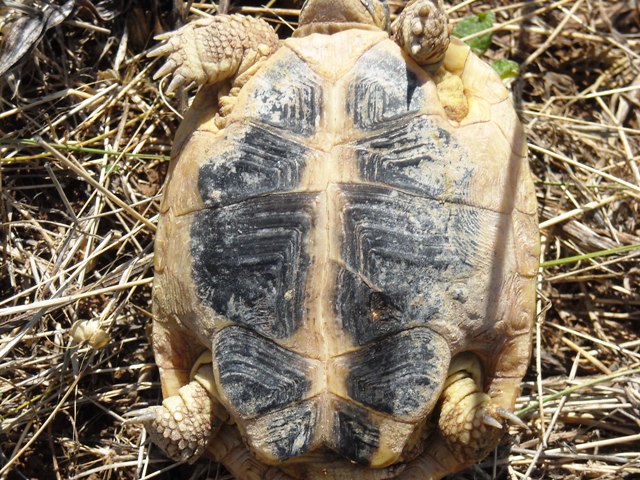 escursione in alta murgia