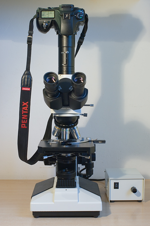 Microscopio Biologico L2050HTG Plan