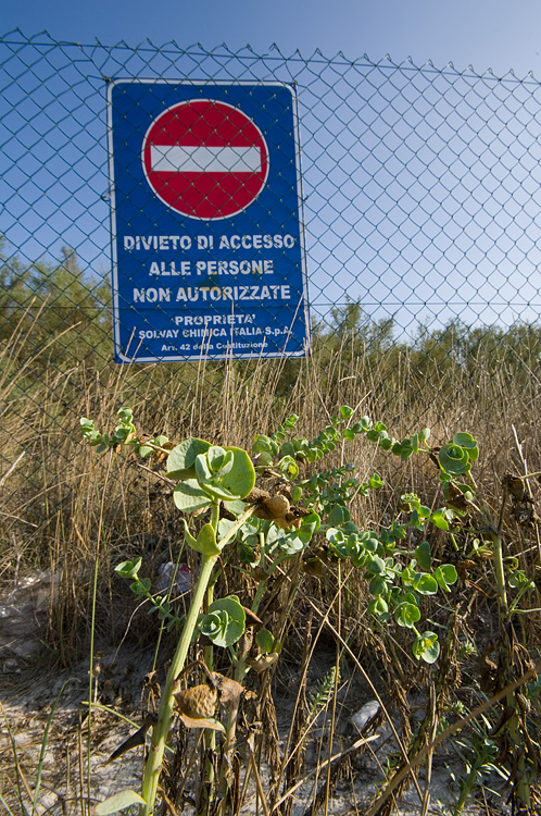 Le Spiagge Bianche a Rosignano Solvay