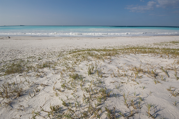 Le Spiagge Bianche a Rosignano Solvay