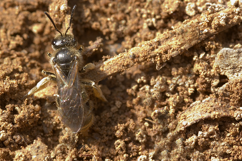 Valle del Farma e Stagno della Troscia: luoghi meravigliosi!