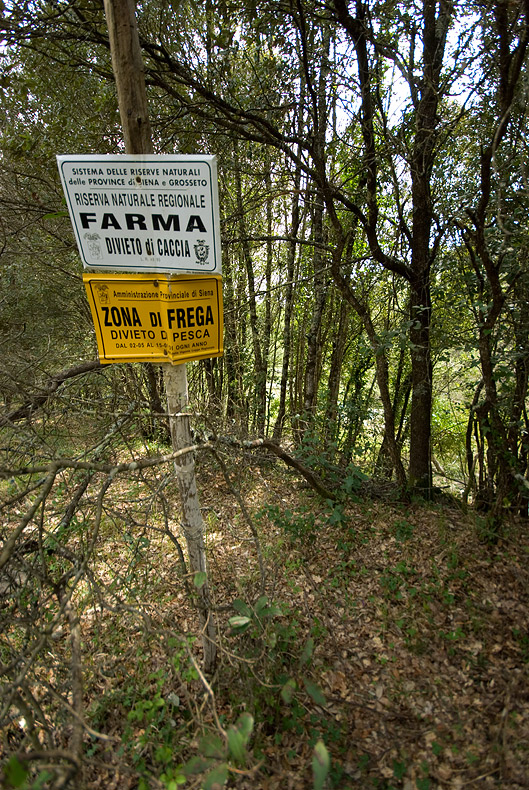 Valle del Farma e Stagno della Troscia: luoghi meravigliosi!