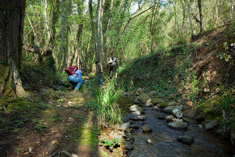 Valle del Farma e Stagno della Troscia: luoghi meravigliosi!