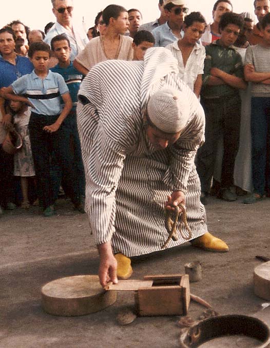 Incantatori di serpenti in Marocco